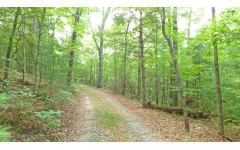 LOT 4 Doublehead Gap(10ac), Blue Ridge, GA 30513 - photo 1