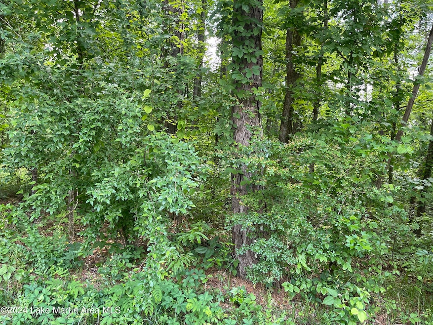For Sale $59,000 • Co-Listing Agent
