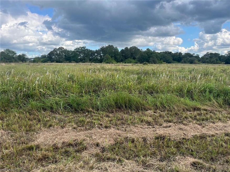 1710 Jackson Ave, Lehigh Acres, FL 33972 - photo 1