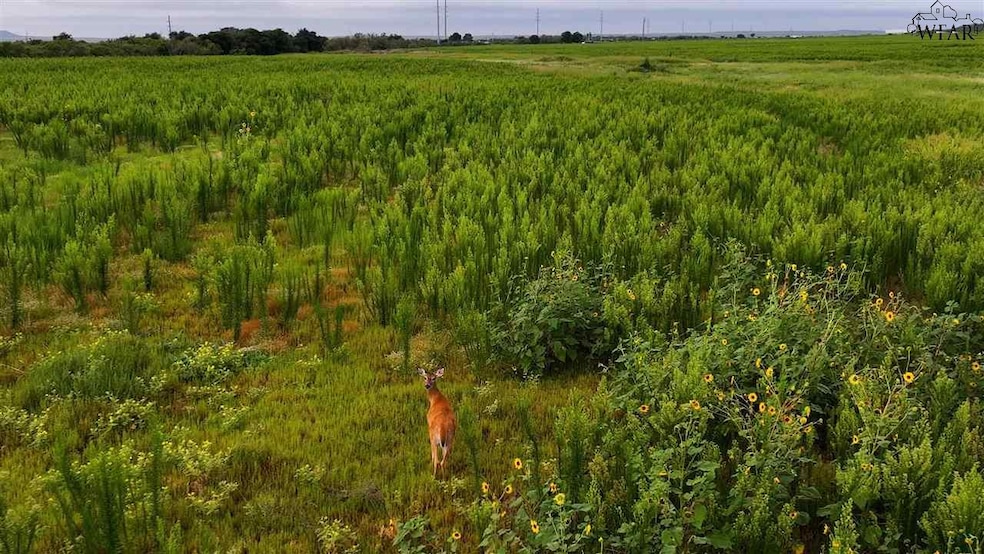0 Highway 287, Quanah, TX 79252 - photo 1