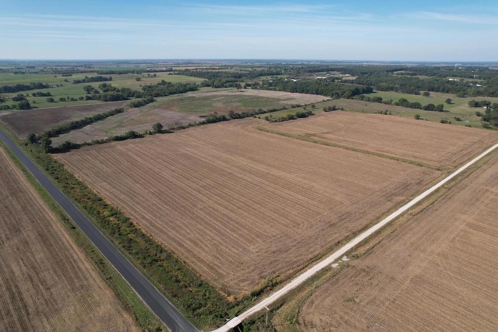 0000 SE 45th Rd, Golden City Township, MO 64748 - photo 1