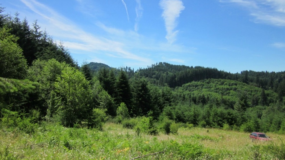 1892 King Rd, Winlock, WA 98596 - photo 1