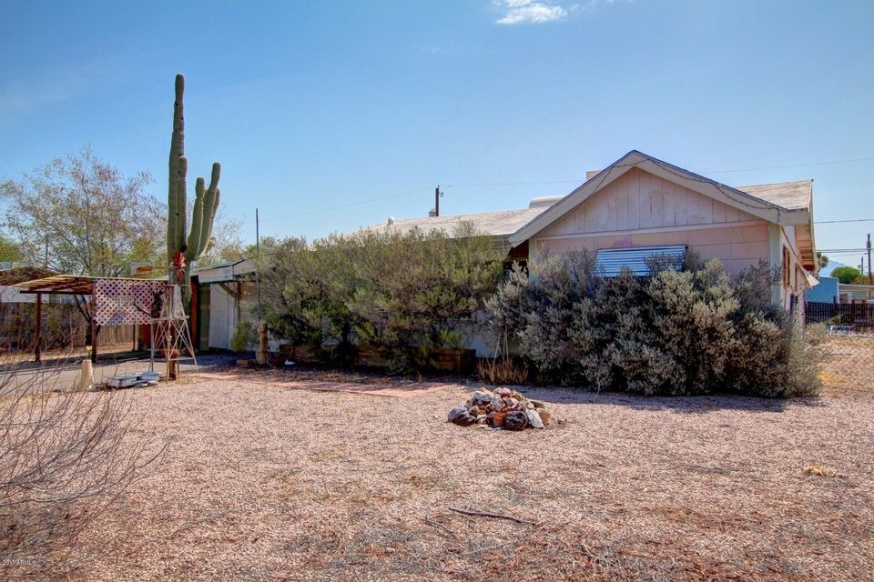 0002-saguaro (2)