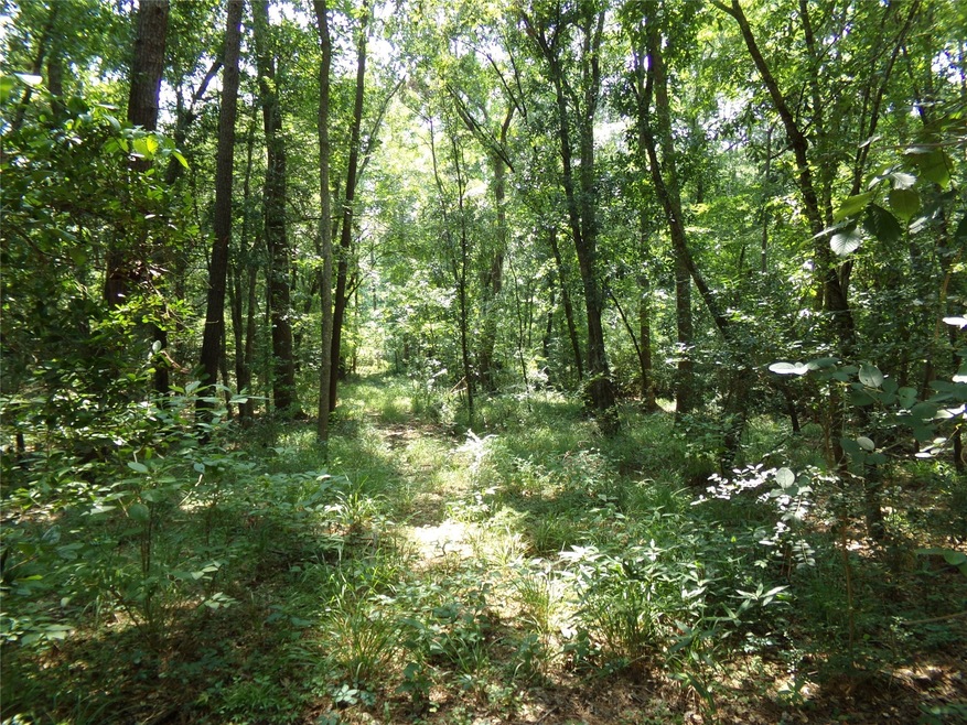 20719 New Kentucky Village, Hockley, TX 77447 - photo 1