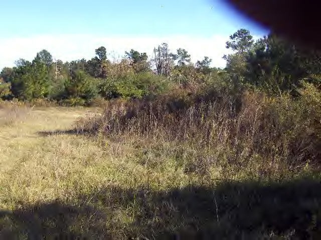 0 Duncan Rd, Tylertown, MS 39667 - photo 1