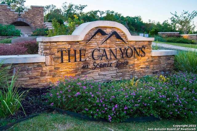 23906 Scenic Springs, San Antonio, TX 78255 - photo 1