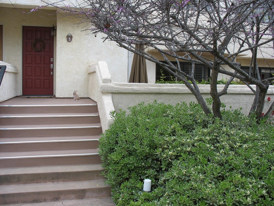 1245 Franciscan Ct 5
