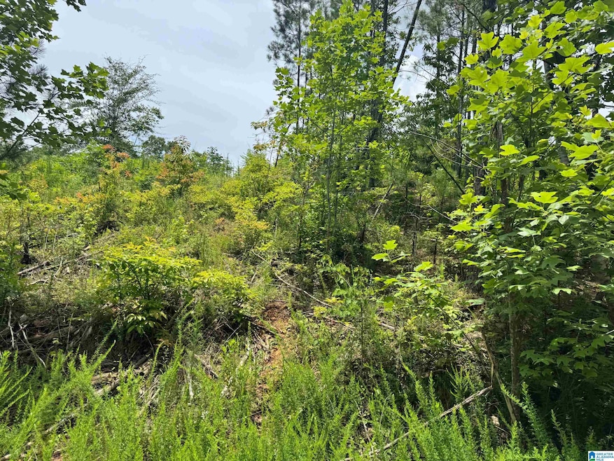For Sale $35,000 • Co-Listing Agent