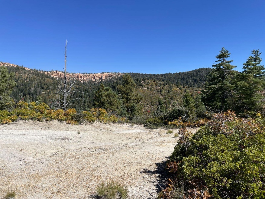 Graded Clearing With Views