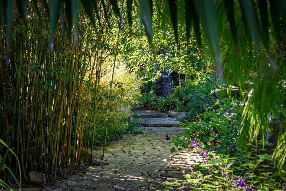 Bamboo Forest