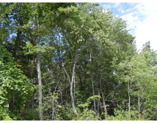 84 Greenwich Plns Rd, Ware, MA 01082 - photo 1