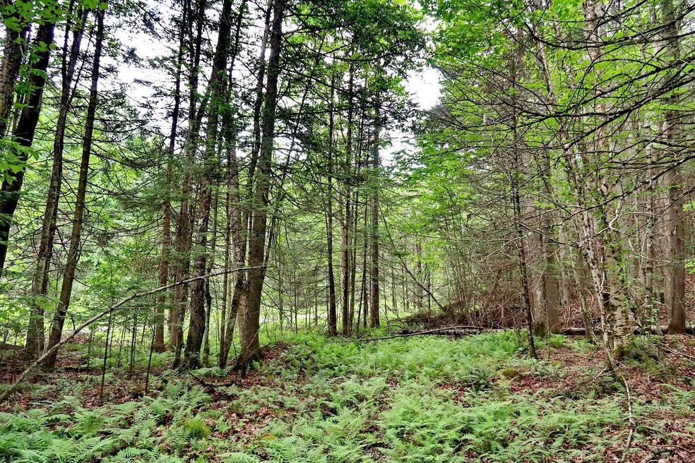 0 Otter Pond Rd, Bethlehem, NH 03574 - photo 1