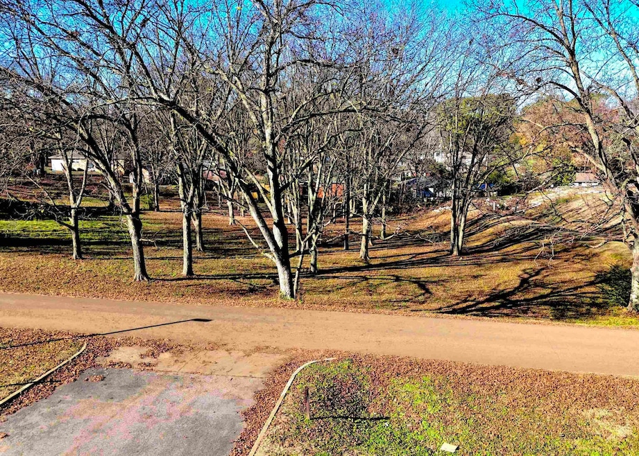 0 Crigger St, Munford, TN 38058 - photo 1