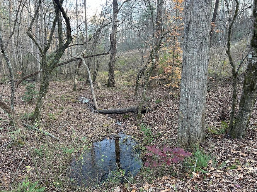 Lot 12 Tombstone Dr, Blairsville, GA 30512 - photo 1