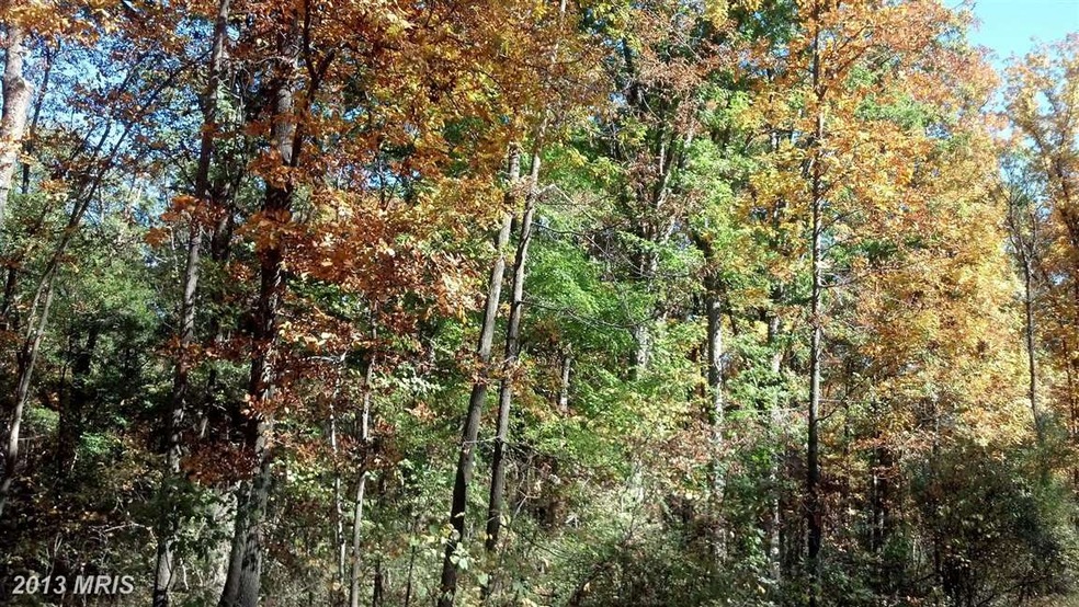 8200 Diamond Hill Rd, Warrenton, VA 20186 - photo 1