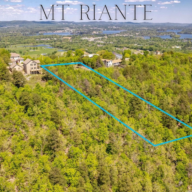 000 Mt Riante Rd, Hot Springs, AR 71913 - photo 1