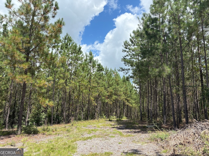 0 Black Creek Rd, Gordon, GA 31031 - photo 1