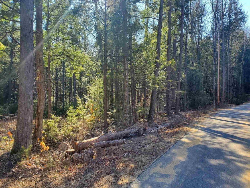 Lot R06-34B Forest Pond Rd, New Hampton, NH 03256 - photo 1