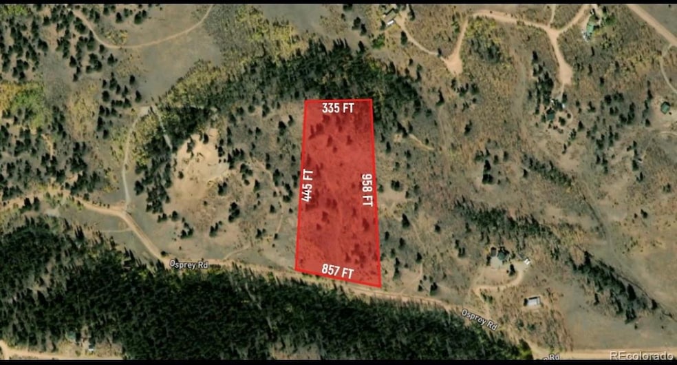 129 Osprey Rd, Como, CO 80456 - photo 1