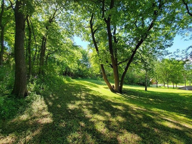 XXX W Church St, Belle Plaine, MN 56011 - photo 1