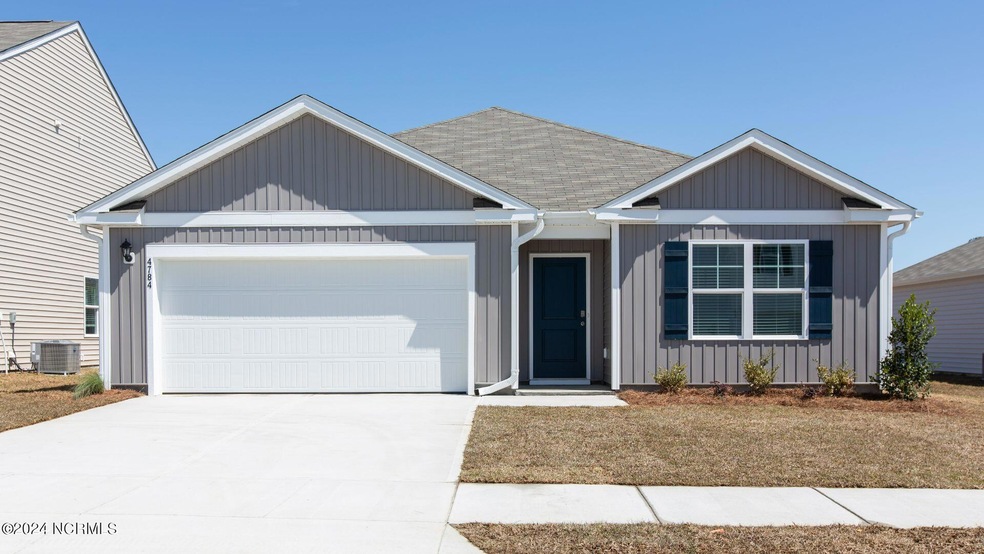 Scaup4784 lot 225 Cali C