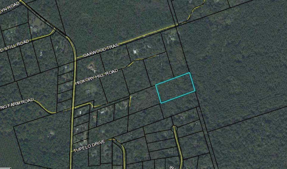 0 Harley Davidson Ln unit 315293, Crawfordville, FL 32327 - photo 1