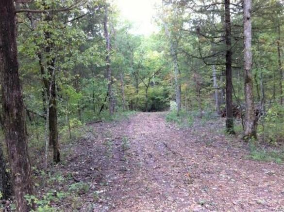 0 Cedar Gulch, Robertsville, MO 63072 - photo 1