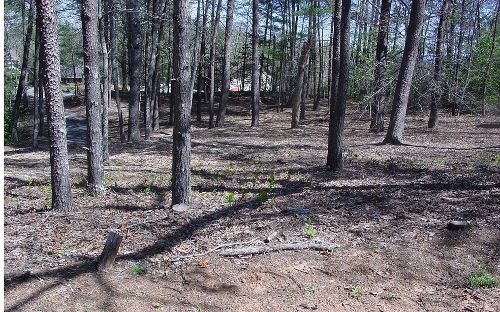 #2 Windjammer Dr, Hiawassee, GA 30546 - photo 1