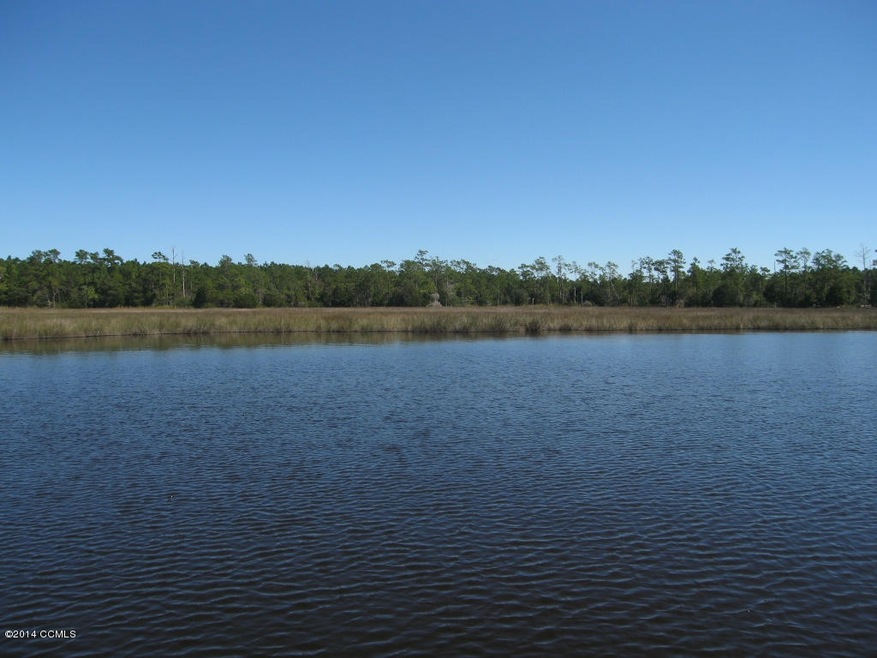 View of Lots from Neighbor's Dock