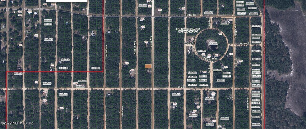 0 Usina unit 1191068, Interlachen, FL 32148 - photo 1