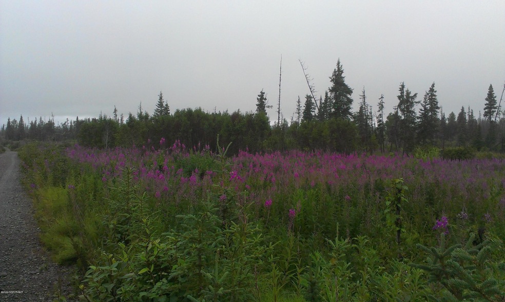 000 King Rd, Nikolaevsk, AK 99556 - photo 1