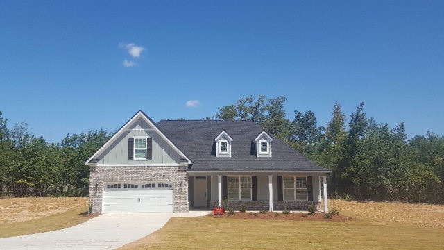 Main View