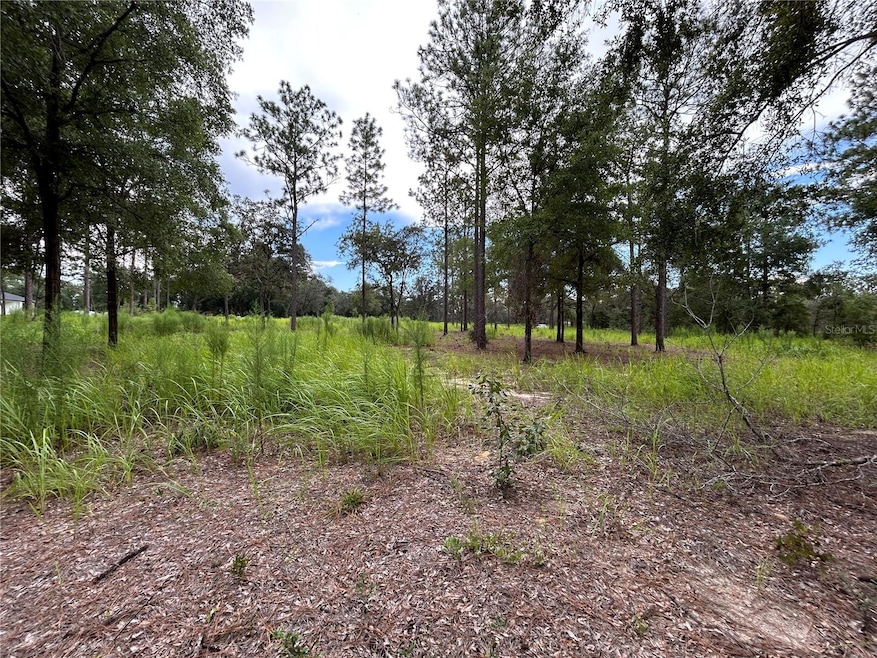 16051 SW 44 St, Ocala, FL 34481 - photo 1