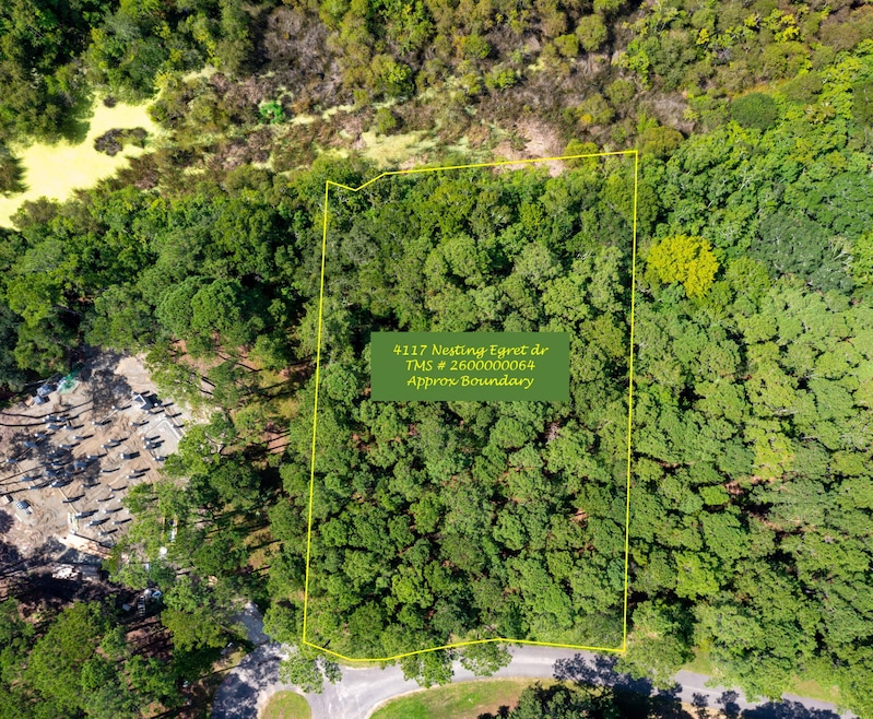 4117 Nesting Egret Dr, Johns Island, SC 29455 - photo 1