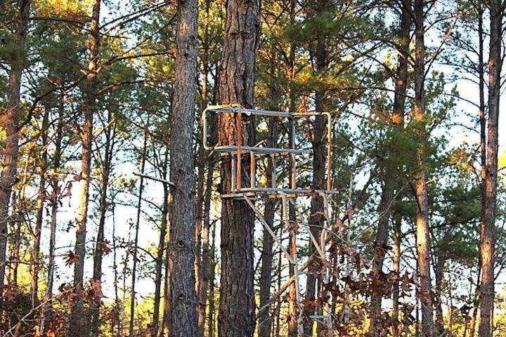 TBD O G Reynolds Rd, Ellerbe, NC 28338 - photo 1