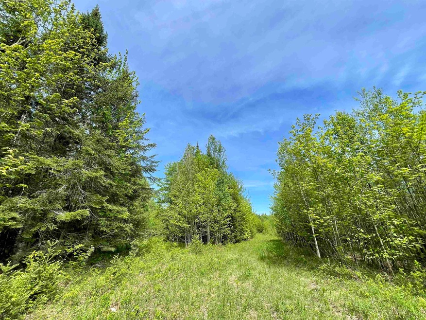 00 Station Rd, Sutton, VT 05867 - photo 1