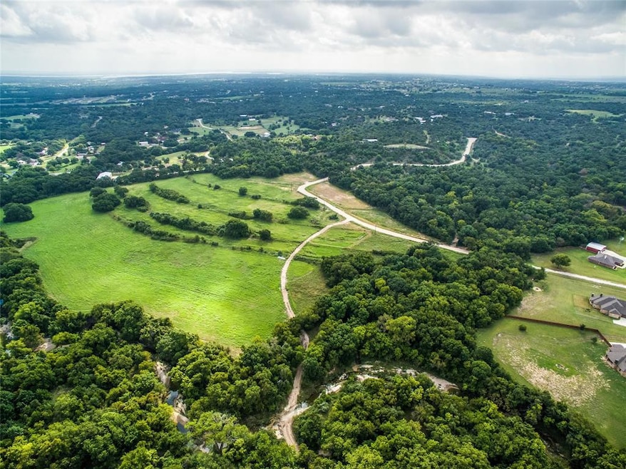 299 Mastadon Way, Weatherford, TX 76085 - photo 1
