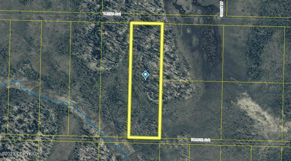 Tr6 Tomski, Anchor Point, AK 99556 - photo 1