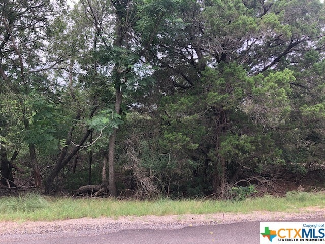 16023 Salado Dr, Temple, TX 76502 - photo 1