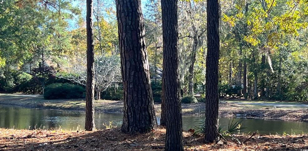 TBD Green Wing Teal Ln, Pawleys Island, SC 29585 - photo 1