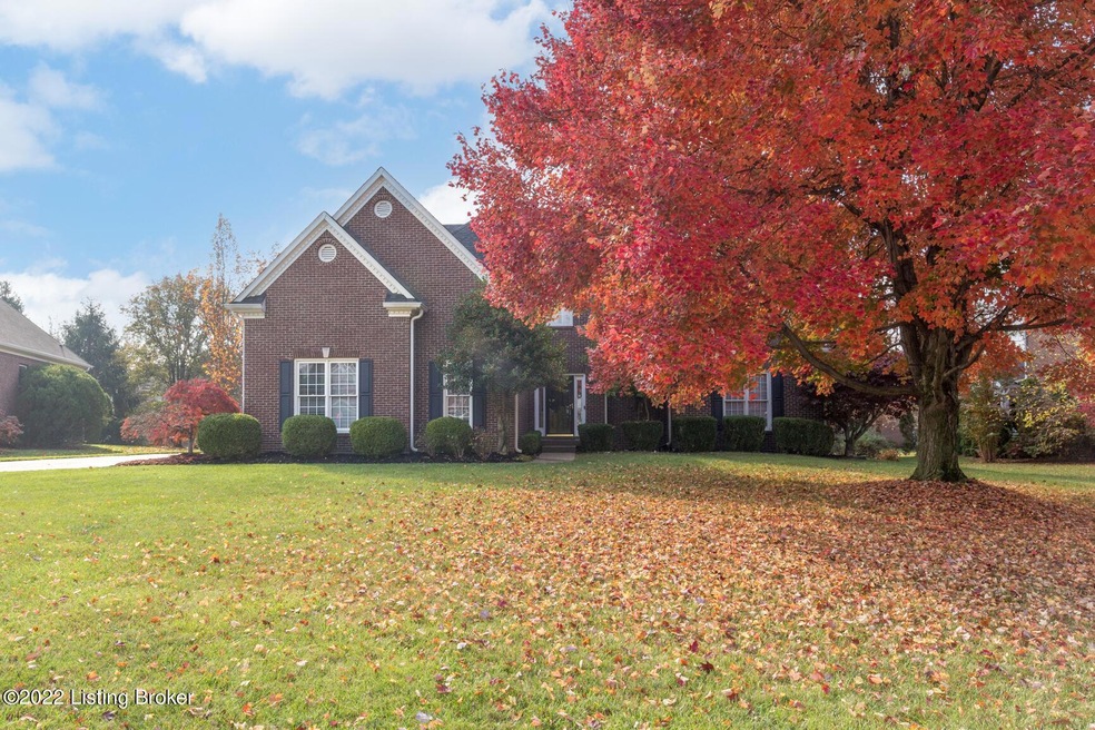12817 Crestview-3