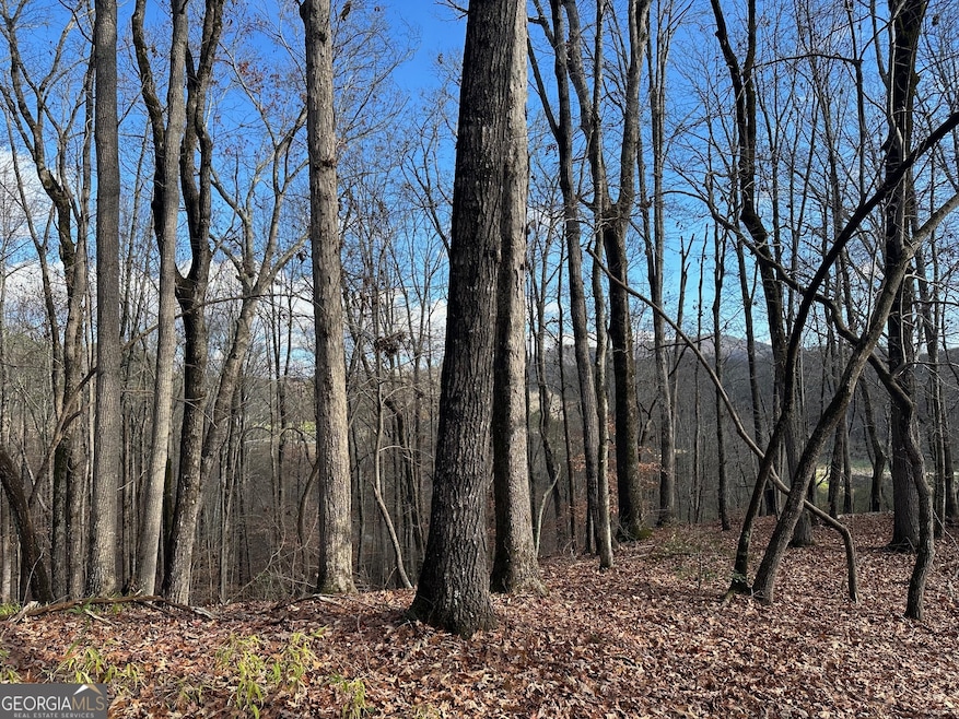 200 Mincey Acres Dr, Murrayville, GA 30564 - photo 1