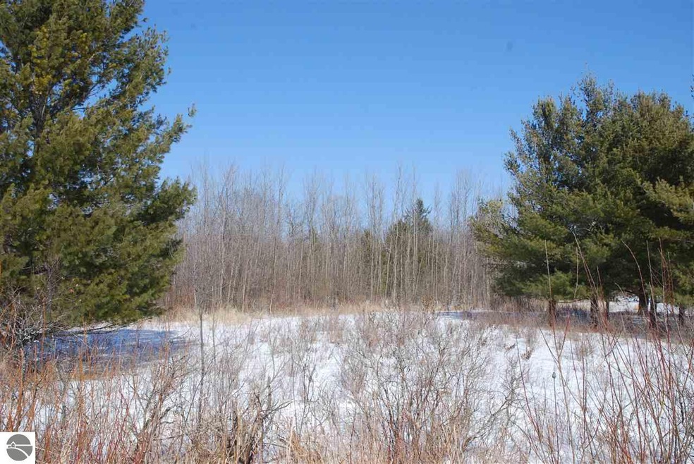 0 Alabaster Rd, Tawas City, MI 48763 - photo 1