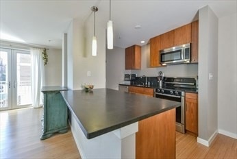 Audubon Park unit 610, Boston, MA 02215 - photo 1