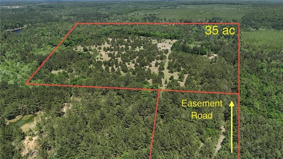 Aerial view with a wooded view