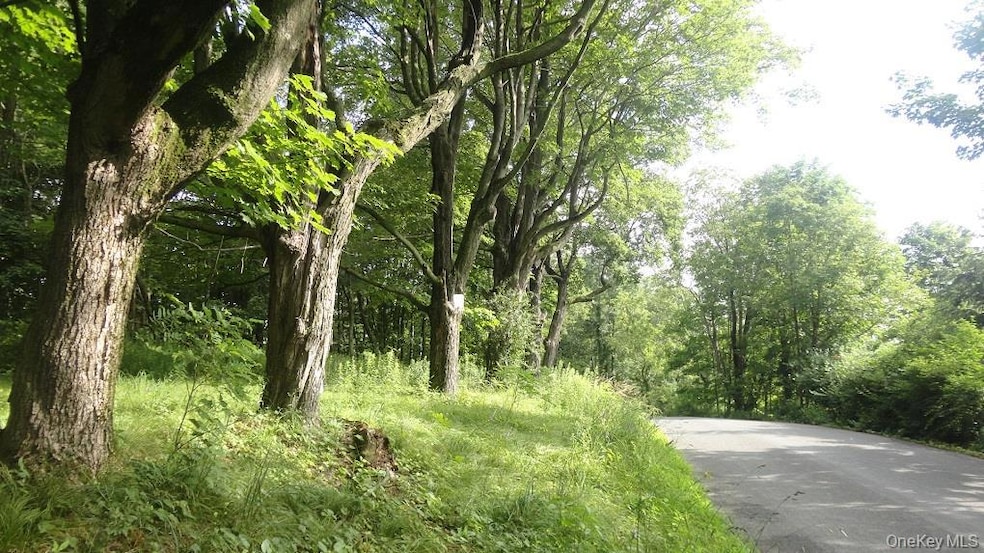 0 Henry Rd unit KEY909778, Cragsmoor, NY 12420 - photo 1