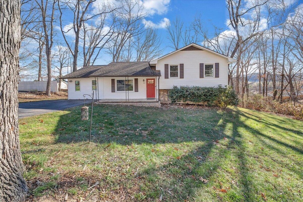 1100 Flint Dr, Christiansburg, VA 24073 - photo 1