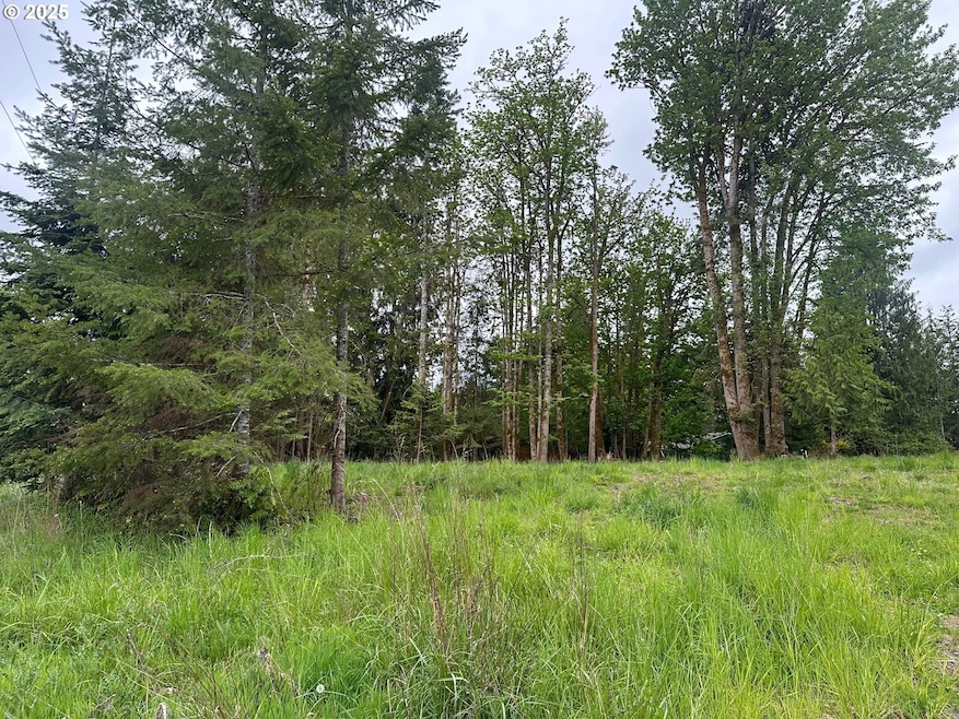 0 Ave unit 439855536, Vernonia, OR 97064 - photo 1