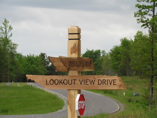 0 Lot #165 Lookout View Dr, Jasper, TN 37347 - photo 1