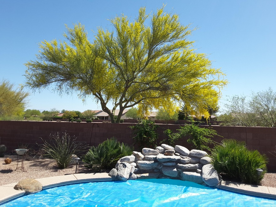 TWINKLING SHADOWS BACK YARD 4